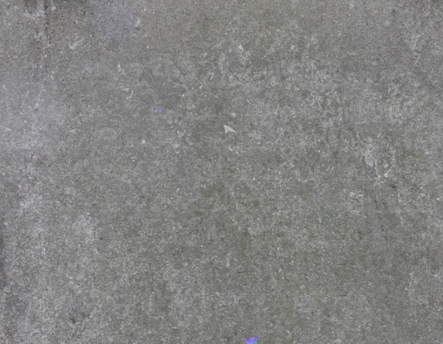 Cimetière du Père Lachaise APPL PANCKOUCKE Charles Joseph André