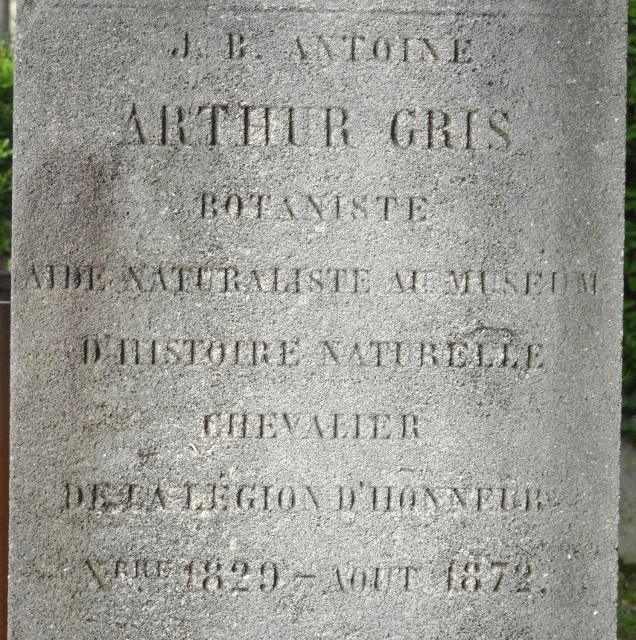 Cimetière du Père Lachaise APPL ARTHUR GRIS Antoine (18291872)